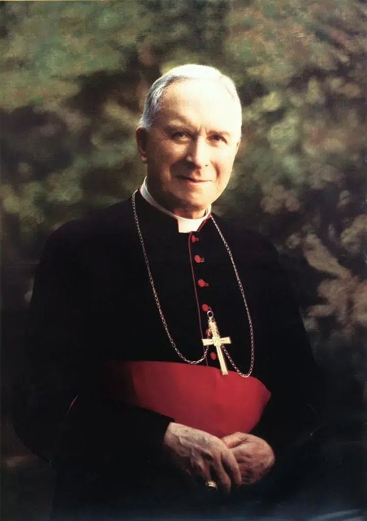 Chiesa e Non chiesa.Leone… leoni, iene e pecorelle…